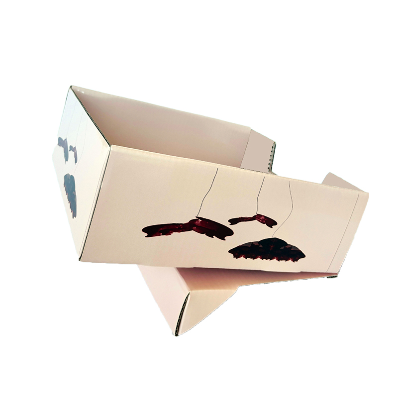 PDQ Boîte de papier d'emballage rapide PDQ, Boîte-cadeau pliante